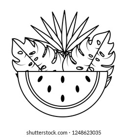 tropical summer cartoon