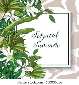 Tropical summer collection of hand drawn exotic leaves. Vector illustration.