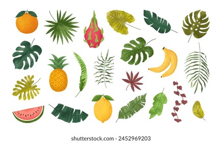 Colección tropical de verano: hojas de palma, frutas exóticas. Palma, hoja de plátano, monstruos, piña, fruta del dragón, naranja, limón, sandía. Elementos de Diseño gráfico. Ilustración plana de dibujos animados de Vector.