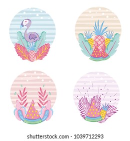 Tropical summer concept design