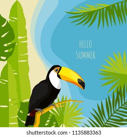 Tropical summer design template. Toucan vector illustration