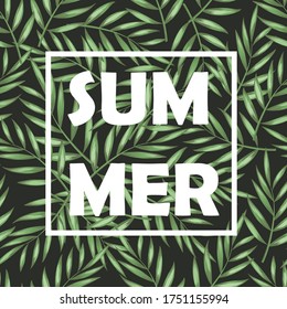Diseño tropical de verano. Ilustración vectorial.Plantilla para afiches, banners, tarjetas. Emblema publicitario.