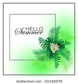 Tropical summer elegant background vector image. Frame