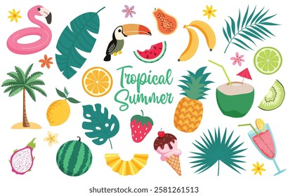 Tropical summer elements clipart set. Summer fruits and graphic elements clip art drawing like palm leaves, pineapple, coconut, kiwi and watermelon collection. 