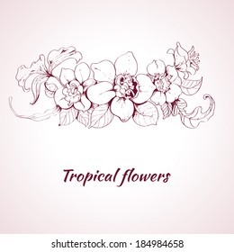 Tropical summer flower sketch decorative element on pale pink background vector illustration