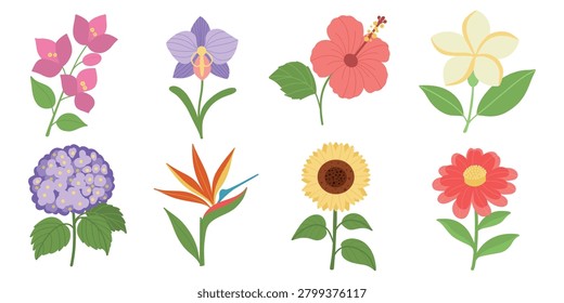 Tropical Summer Flower Vector Collection. Hand Drawn Botanical Illustration Set. Hibiscus, Sunflower, Hydrangea, Bougainvillea, Zinnia, Plumeria, Strelitzia, Orchid
