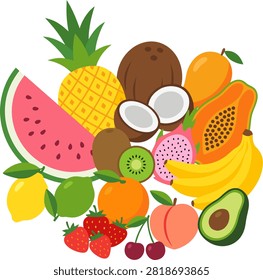 Tropical summer fruits composition vector illustration. Fresh healthy fruit mix with watermelon, pineapple, coconut, mango, papaya, dragon fruit, banana, avocado, kiwi, and berries isolated on white background.