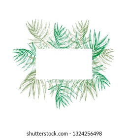 Tropical summer jungle label with a border made of green tropical palm leaves and a place for text. Hand drawn in ink realistic engraving like vector illustration.