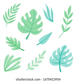 Tropical summer leaf set for wallpaper, greeting card, poster design. Exotic floral decoration of hawaii style. Vector illuatration of trendy style.