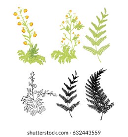 tropical summer leafs decorative