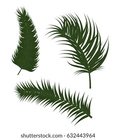 tropical summer leafs decorative