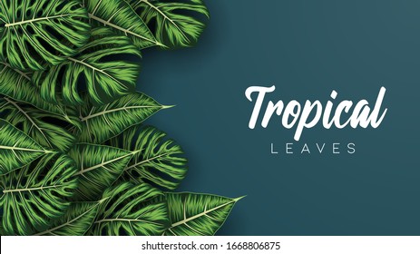 Tropical summer leaves background with jungle plants