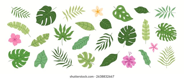 Tropical summer leaves, flowers and plants. Set of palm leaves.