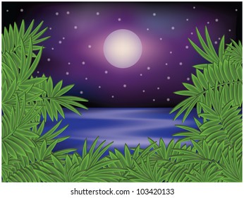 Tropical summer night card, vector illustration