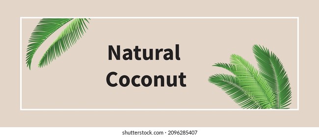 Tropical summer paper background. Summer time vector illustration for banner, header, sale, flyer. Poster party, Abstract green backdrop for text, 