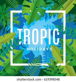 Tropical summer paper background. Summer time tropic holiday illustration banner, header, sale, flyer. Poster party, sticker, billboard, web site. Abstract green backdrop text, type, font script quote