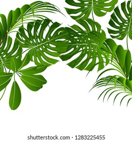 Tropical summer pattern with exotic green leaves calatheas and monsteras.