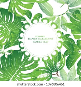 Tropical summer pattern and frame with exotic green leaves calatheas and monsteras.