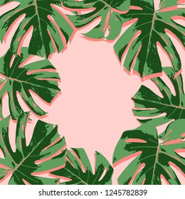 Tropical summer pink background with leaves palm