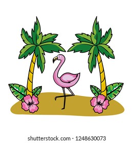 tropical summer pink flamingo cartoon
