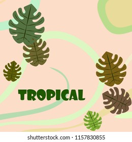 tropical summer tropical plant vector background