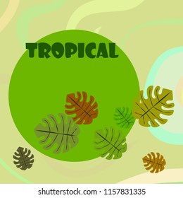 tropical summer tropical plant vector background