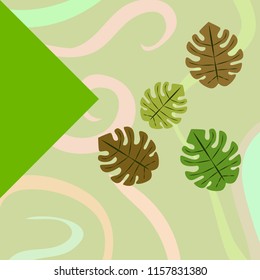 tropical summer tropical plant vector background