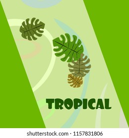 tropical summer tropical plant vector background
