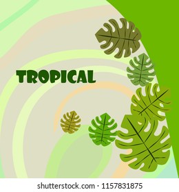 tropical summer tropical plant vector background