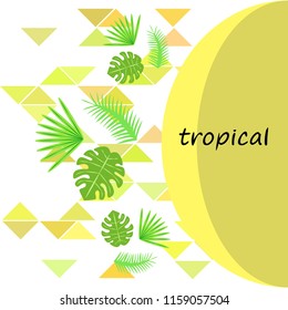 tropical summer tropical plant vector background