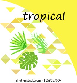 tropical summer tropical plant vector background