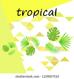 tropical summer tropical plant vector background