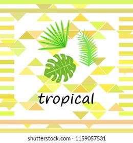 tropical summer tropical plant vector background