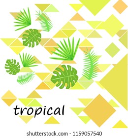 tropical summer tropical plant vector background