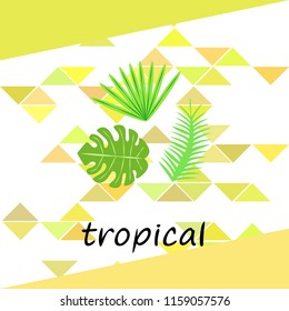 tropical summer tropical plant vector background