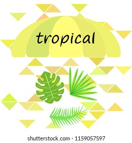 tropical summer tropical plant vector background