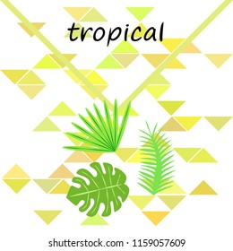 tropical summer tropical plant vector background