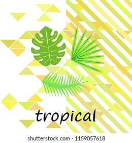 tropical summer tropical plant vector background