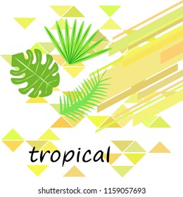 tropical summer tropical plant vector background