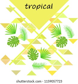 tropical summer tropical plant vector background