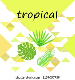 tropical summer tropical plant vector background