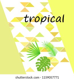 tropical summer tropical plant vector background