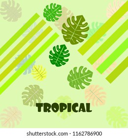 tropical summer tropical plant vector background