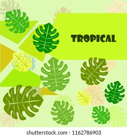 tropical summer tropical plant vector background