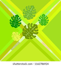 tropical summer tropical plant vector background