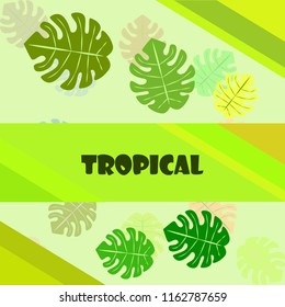 tropical summer tropical plant vector background