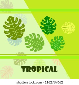 tropical summer tropical plant vector background