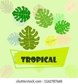 tropical summer tropical plant vector background