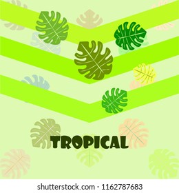 tropical summer tropical plant vector background