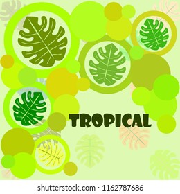 tropical summer tropical plant vector background